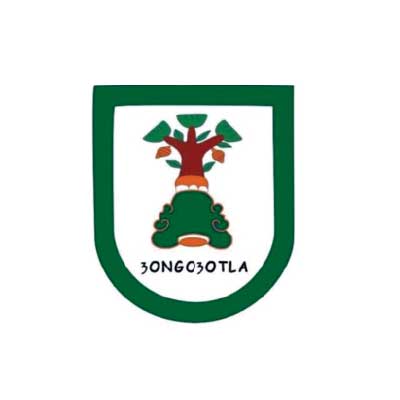 zongozotla
